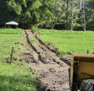 Geotextil de alto m&oacute;dulo PET para CBR menor a 3%, Geomatrix